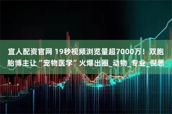 宜人配资官网 19秒视频浏览量超7000万！双胞胎博主让“宠物医学”火爆出圈_动物_专业_倪思