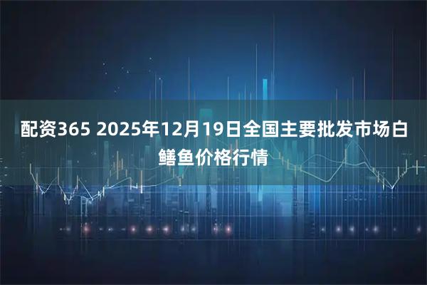 配资365 2025年12月19日全国主要批发市场白鳝鱼价格行情