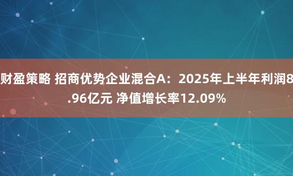 财盈策略 招商优势企业混合A：2025年上半年利润8.96亿元 净值增长率12.09%